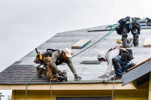 Professional Emergency Roof Repair technician working in Adair, IL
